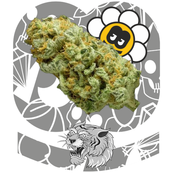Critical CBD - Imagen 2