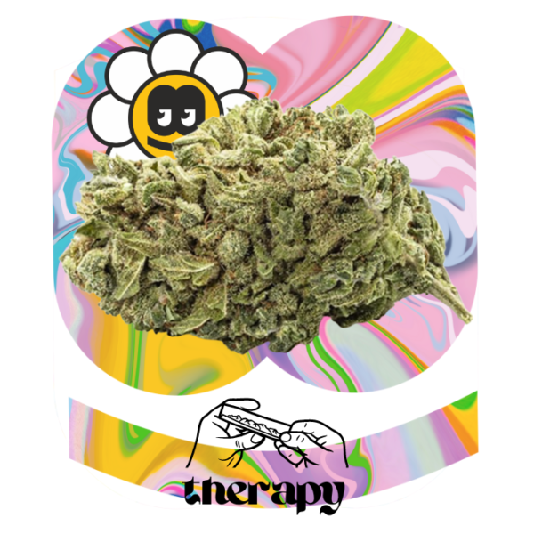 Therapy CBD - Imagen 2