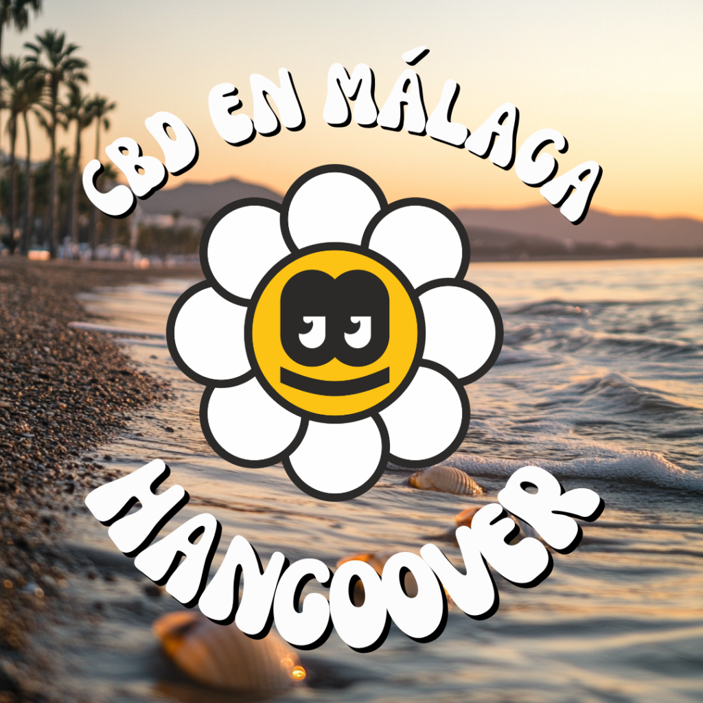 imagen de una playa de malaga al atardecer para disfrutar del CBD