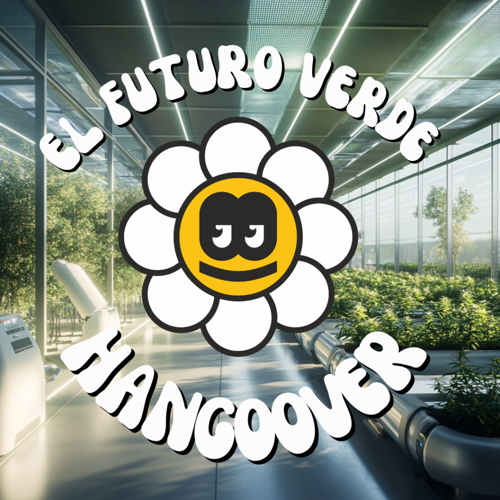 imagen destacada de nuestro blog de informacion de CBD